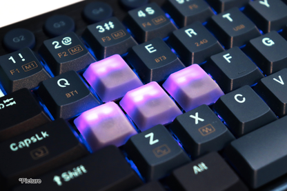 OEM LP RGB