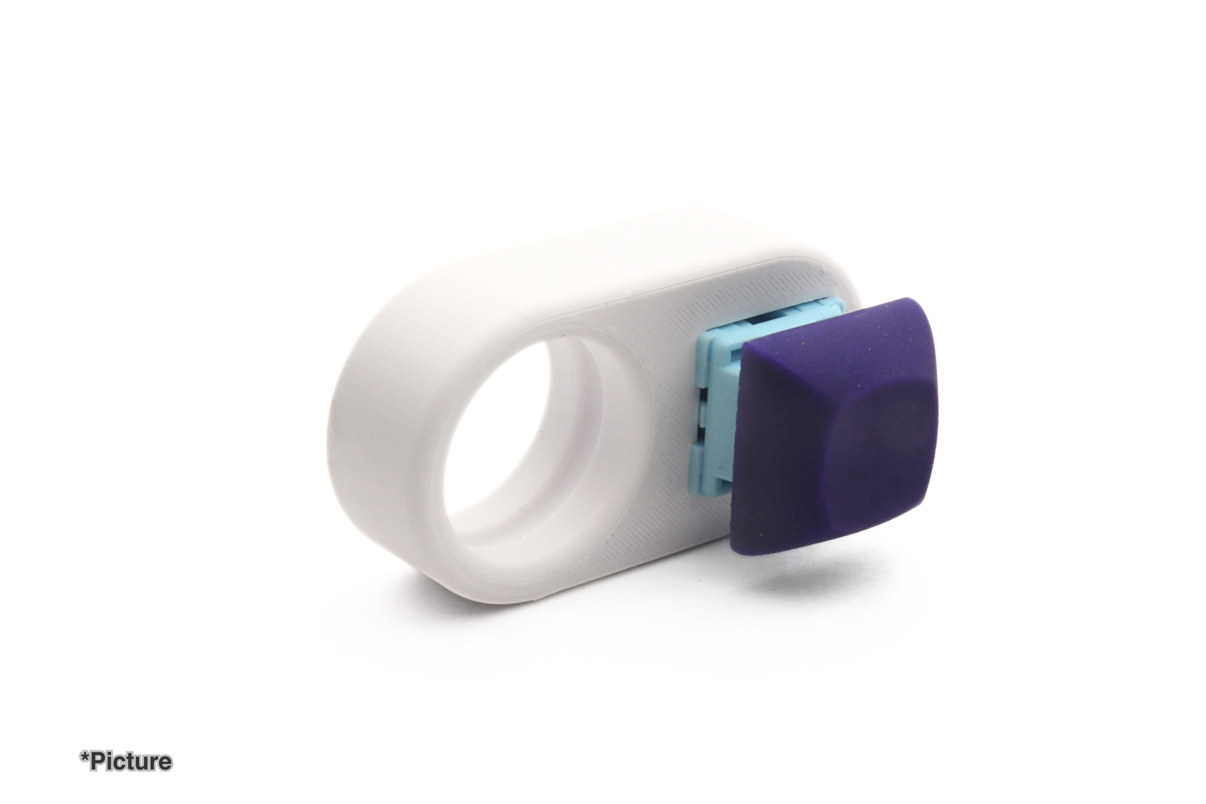 Switch Holder Fidget with Switch and Purple Keycap Installed